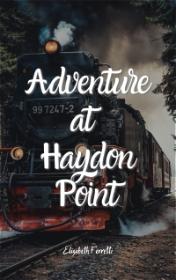 Adventure at Haydon Point by Elizabeth Ferretti book cover