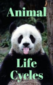 Animal Life Cycles by Rachel Bladon book cover
